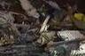 This clips features Paul J. Hedlund dicussing the crash of an AvJet aircraft that crashed on its final 
approach in Aspen