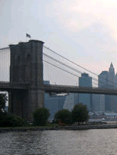 Brooklyn Lawyer, Alani Golanski