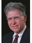 Astoria LLC Lawyer Michael Geoffrey Yamin